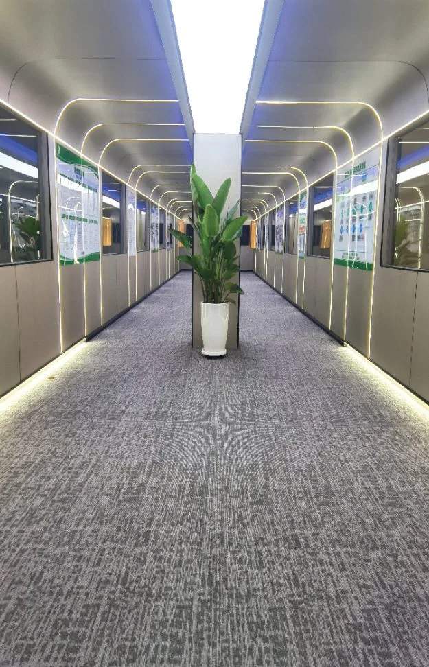 参观通道实景